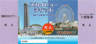 スカイビューチケット